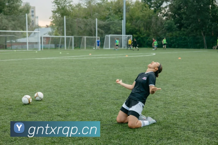 App Interface Preview