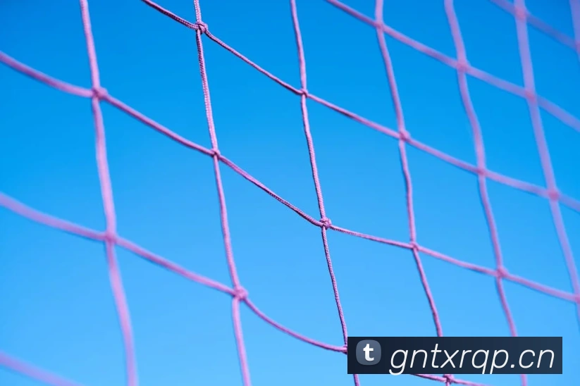 hth官网入口APP 封面图